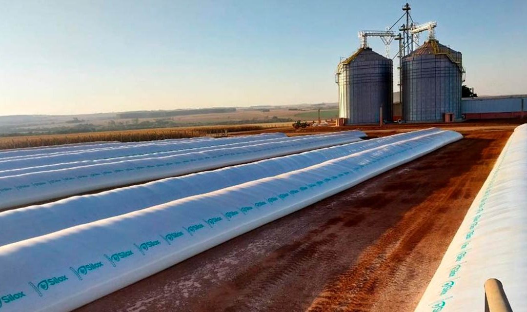 Venda recorde de silo-bolsa ajuda a amenizar o déficit de armazenamento no Brasil