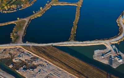 Silo Bag: 6 curiosidades que você precisa conhecer